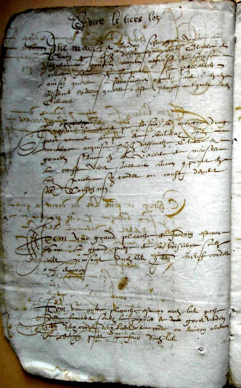 Thieurine_1589 (8).JPG